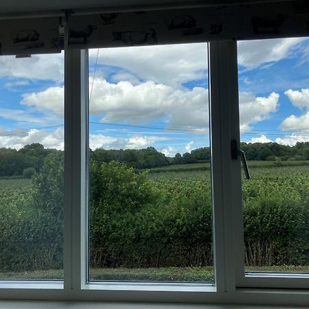 Withy Farm Bed & Breakfast Canterbury Exterior foto